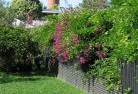 Croydon NSWlandscape-gardener-12.jpg; ?>