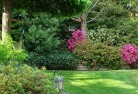 Croydon NSWlandscape-gardener-46.jpg; ?>